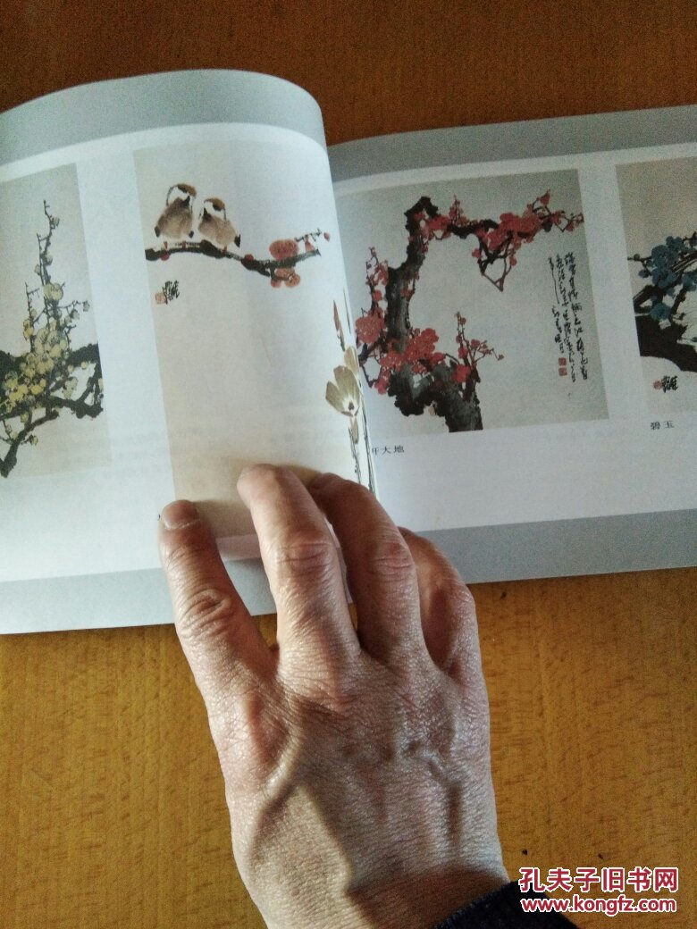 续篇.花_宁佳录编著_孔夫子旧书网