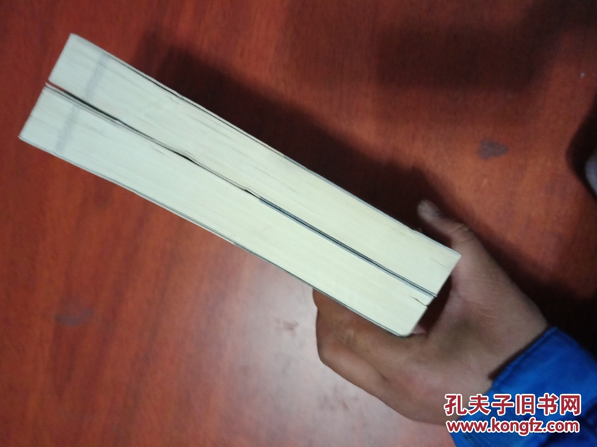 徐世昌评传(上下)