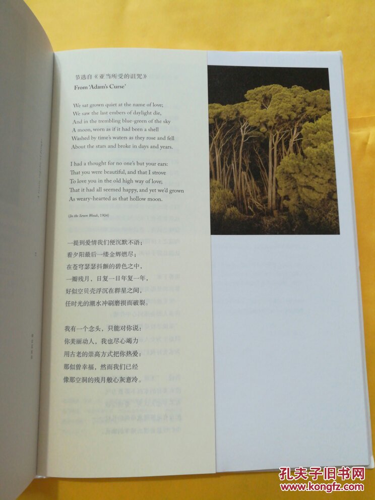 寂然的狂喜:叶芝的诗与回声