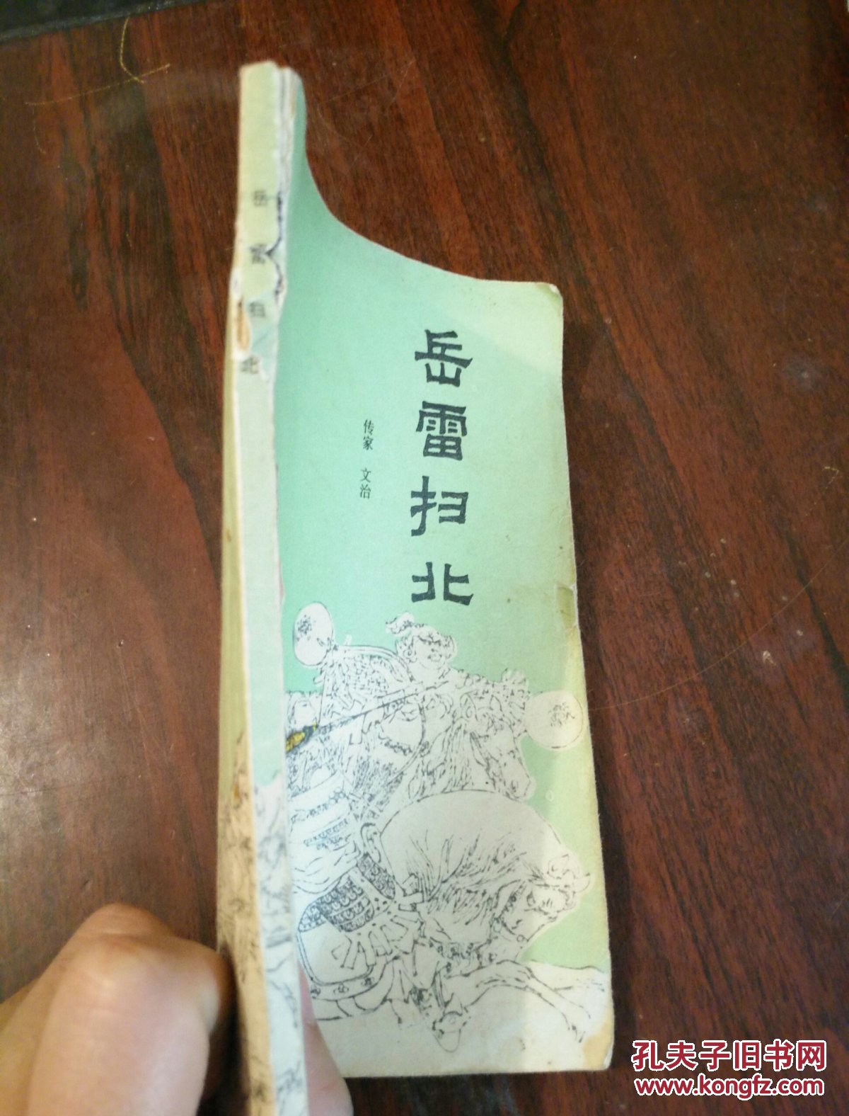 岳雷扫北(孔网最低价)