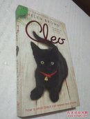 Cleo: How a Small Black Cat Helped Heal