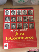 Professional Java E-Commerce英文原版