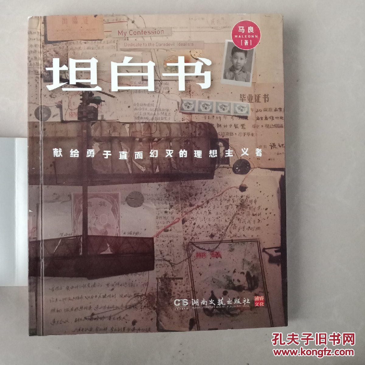 坦白书:献给勇于直面幻灭的理想主义者
