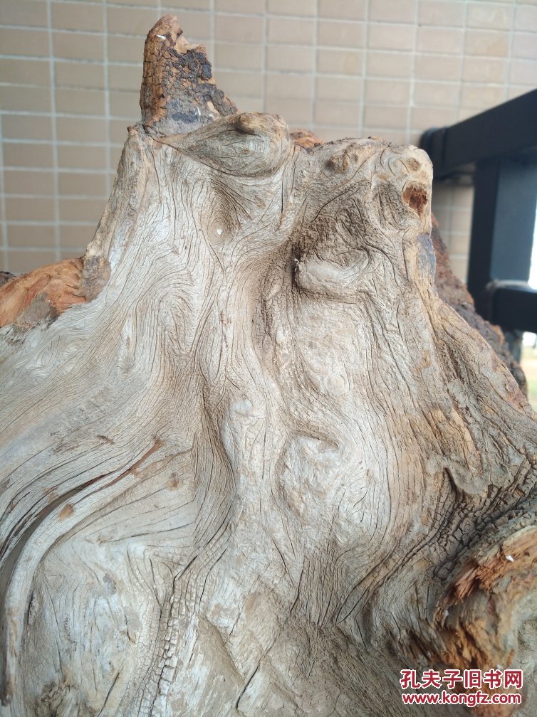 5斤左右太行崖柏白粉骨料镂空抱石