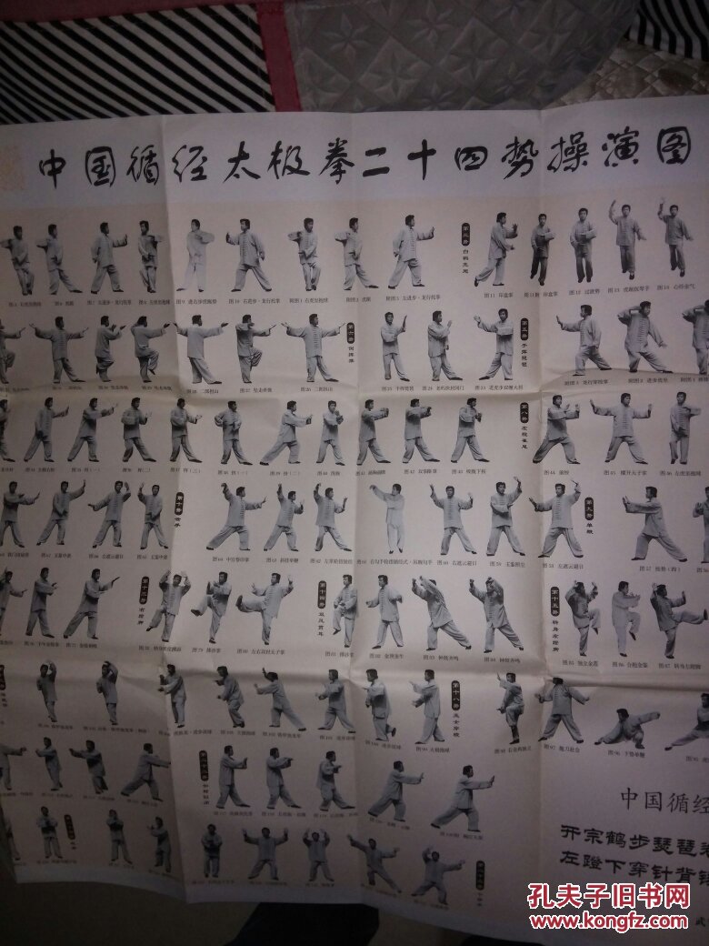 中国循经太极拳二十四势操演图 24式太极拳挂图