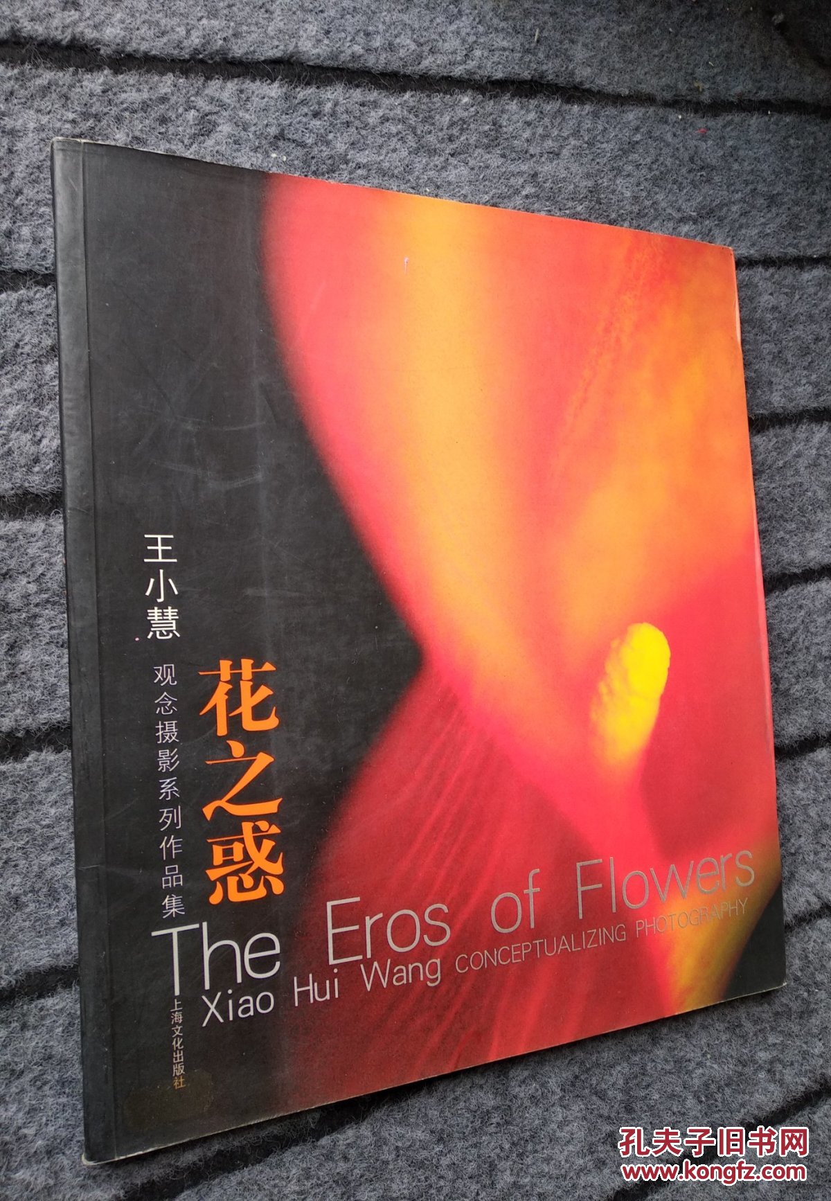 花之惑王小慧观念摄影系列作品集