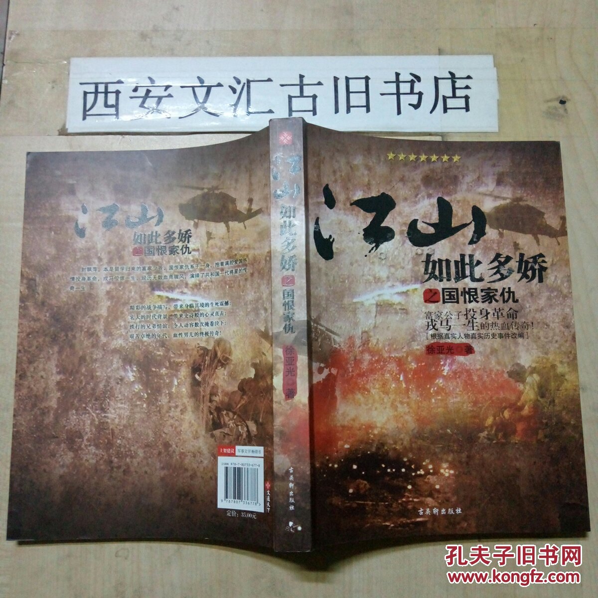 江山如此多娇之国恨家仇:富家公子投身革命戎马一生的热血传奇!