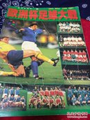足球画册：欧洲杯足球大战