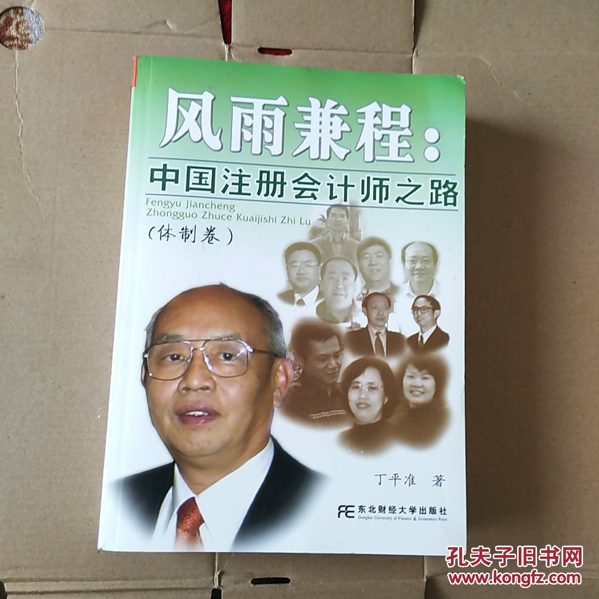 风雨兼程:中国注册会计师之路.体制卷