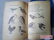 80年代老课本：小学课本 自然（第一册、第六册）两册合售