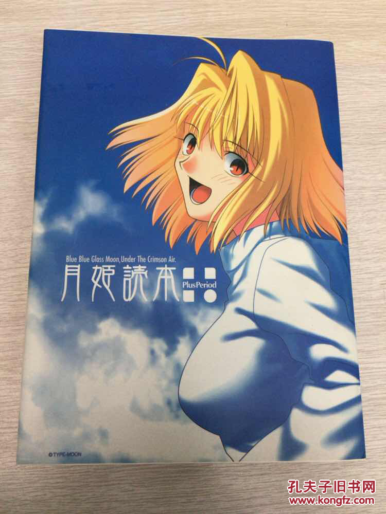 月姫読本 plus period 月姬读本(日本原版)精装版