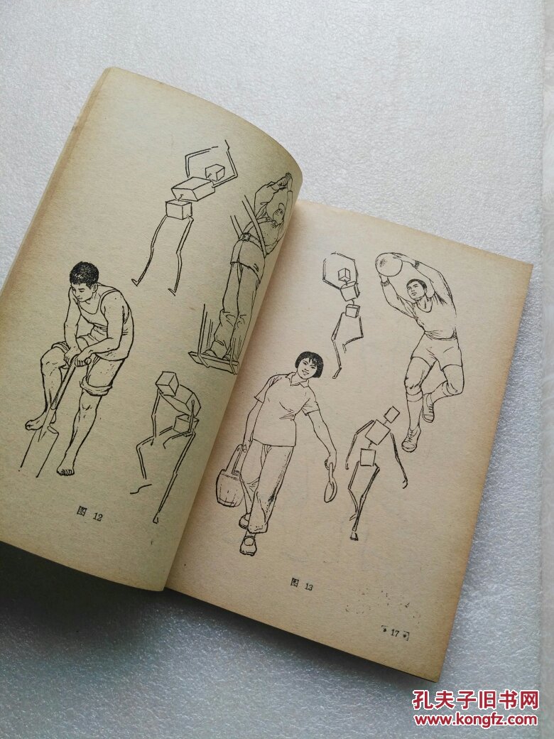 人体的结构与形态(工农兵美术技法丛书)