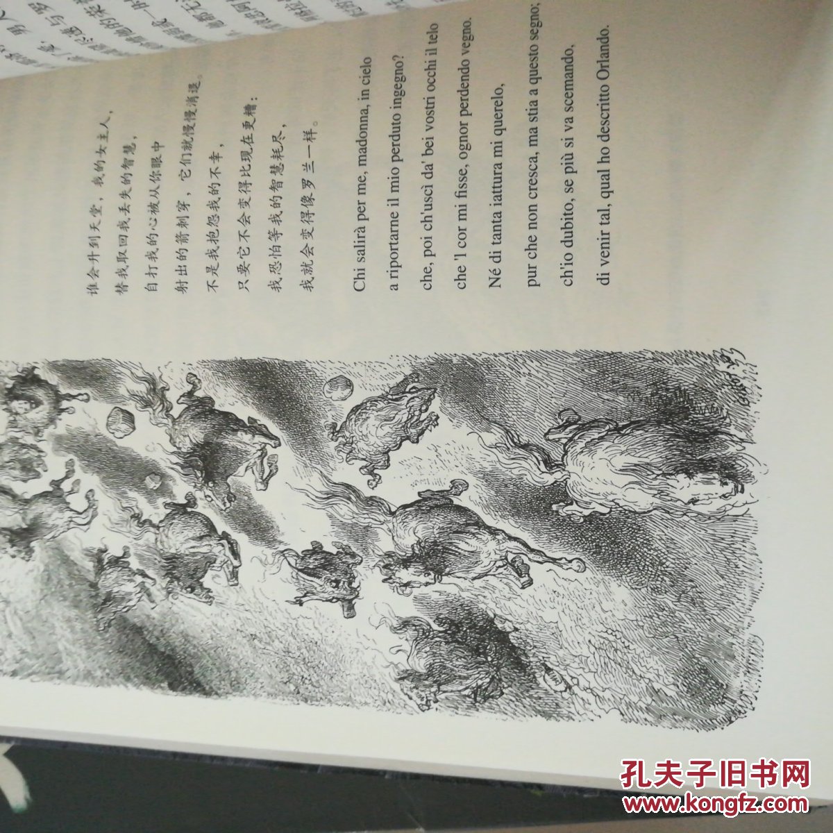 多雷插图本:疯狂的罗兰