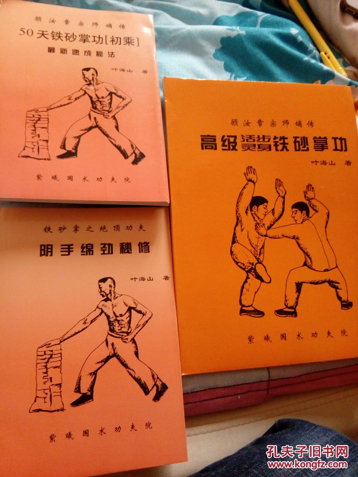 正版顾汝章铁砂掌功三册