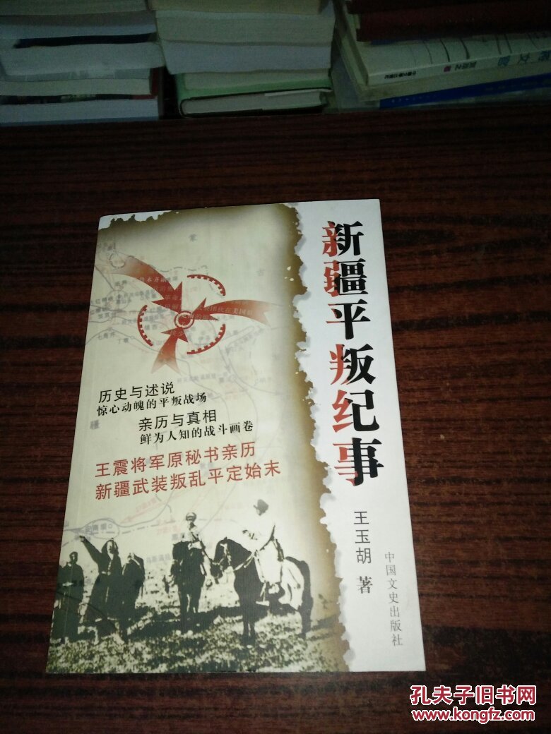 新疆平叛纪事