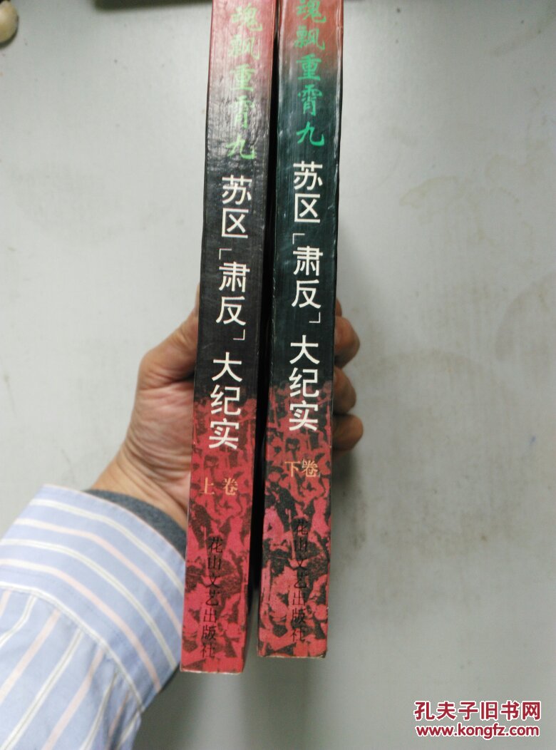 苏区肃反大纪实(上下全)