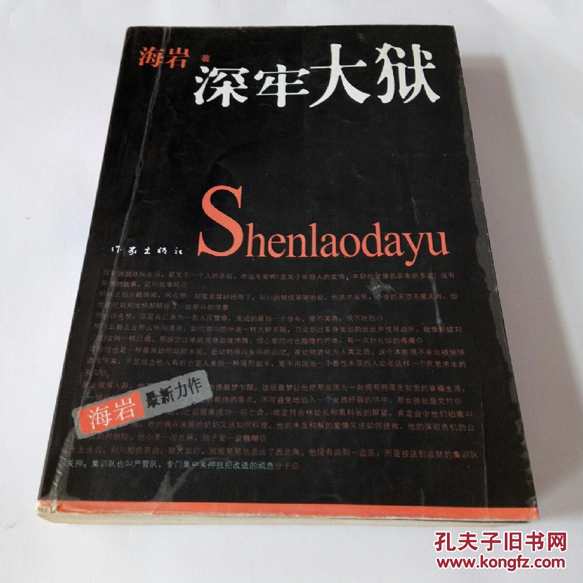深牢大狱:海岩最新力作