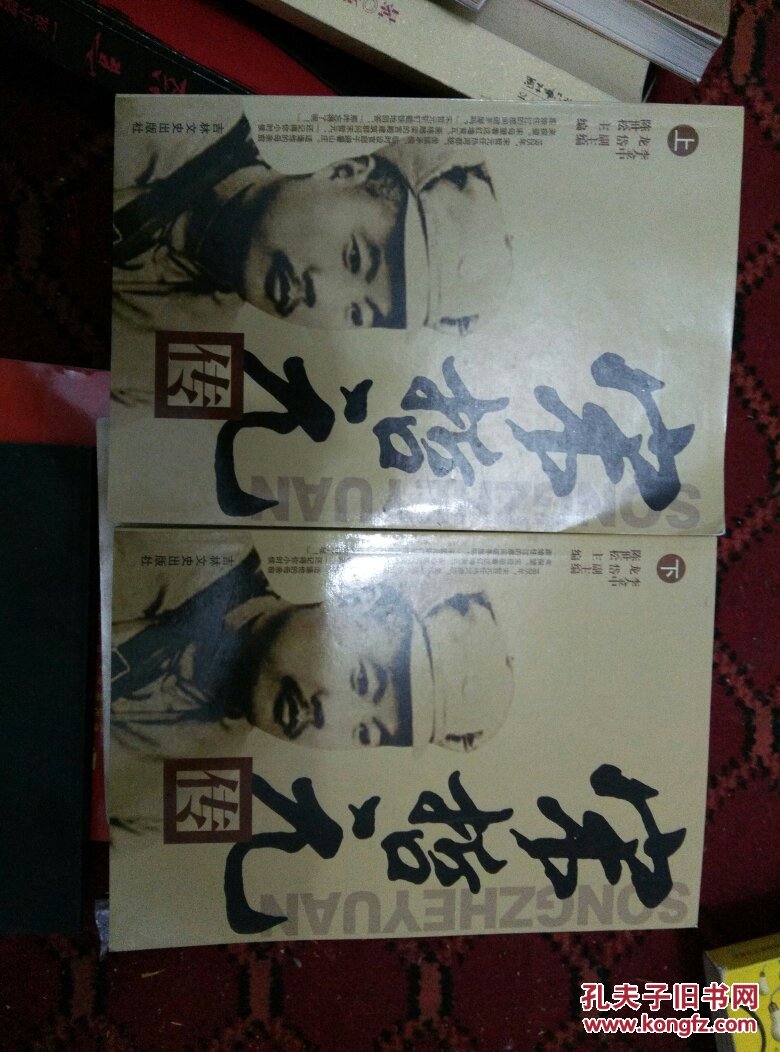 宋哲元传(上下)