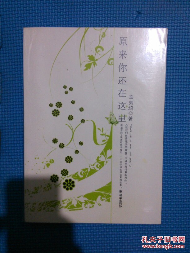 原来你还在这里