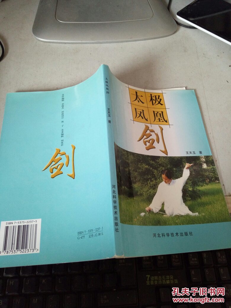 太极凤凰剑  131