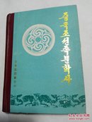 中国朝鲜族文学史 （朝鲜文） 중국 조선족 문학사  （精装 ）