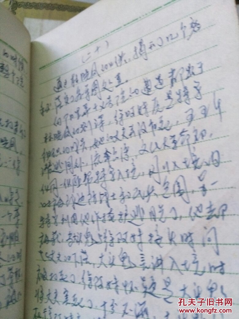 文革手抄本 梅花党的故事