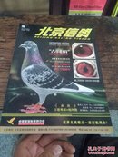 北京信鸽2012年春季刊