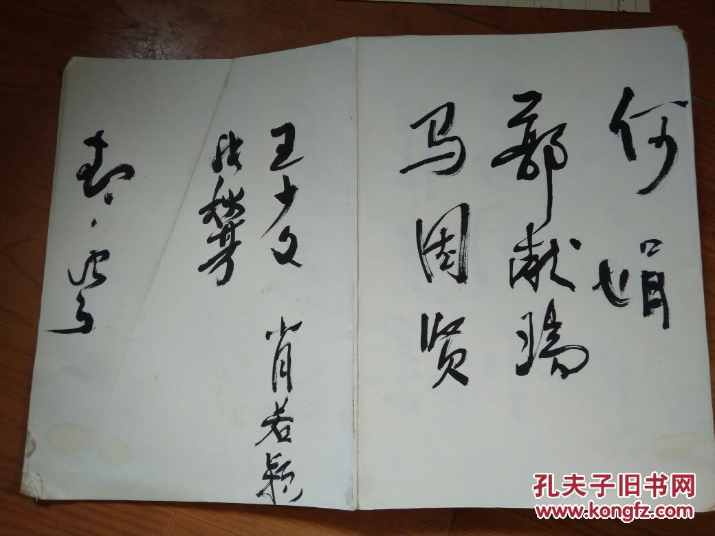 a11李振平马国贤马桂娟等签名册3525