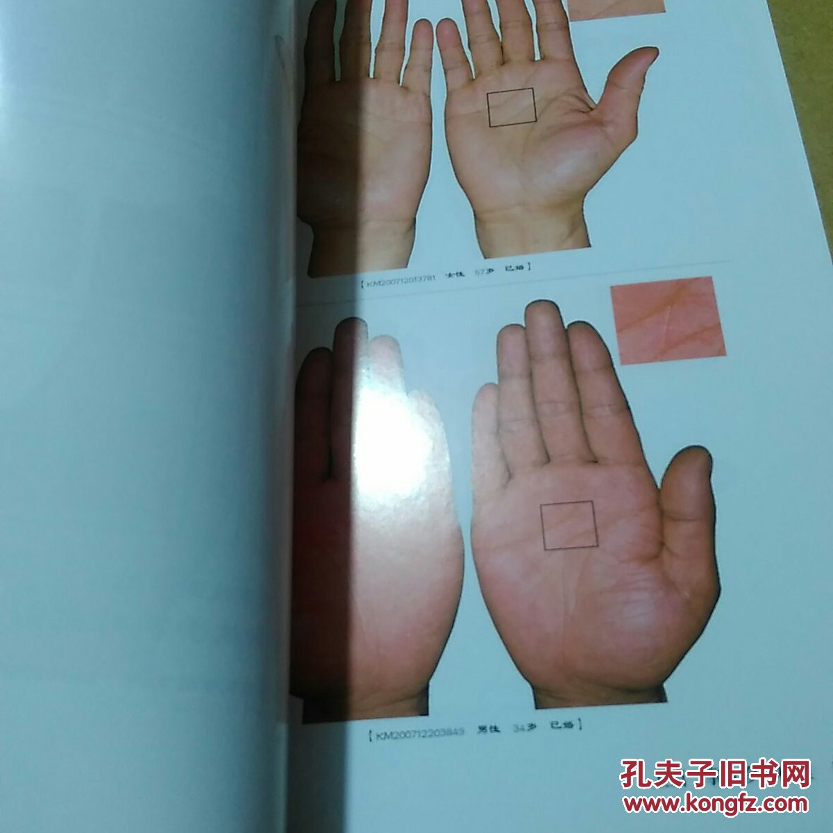 王晨霞掌纹图典