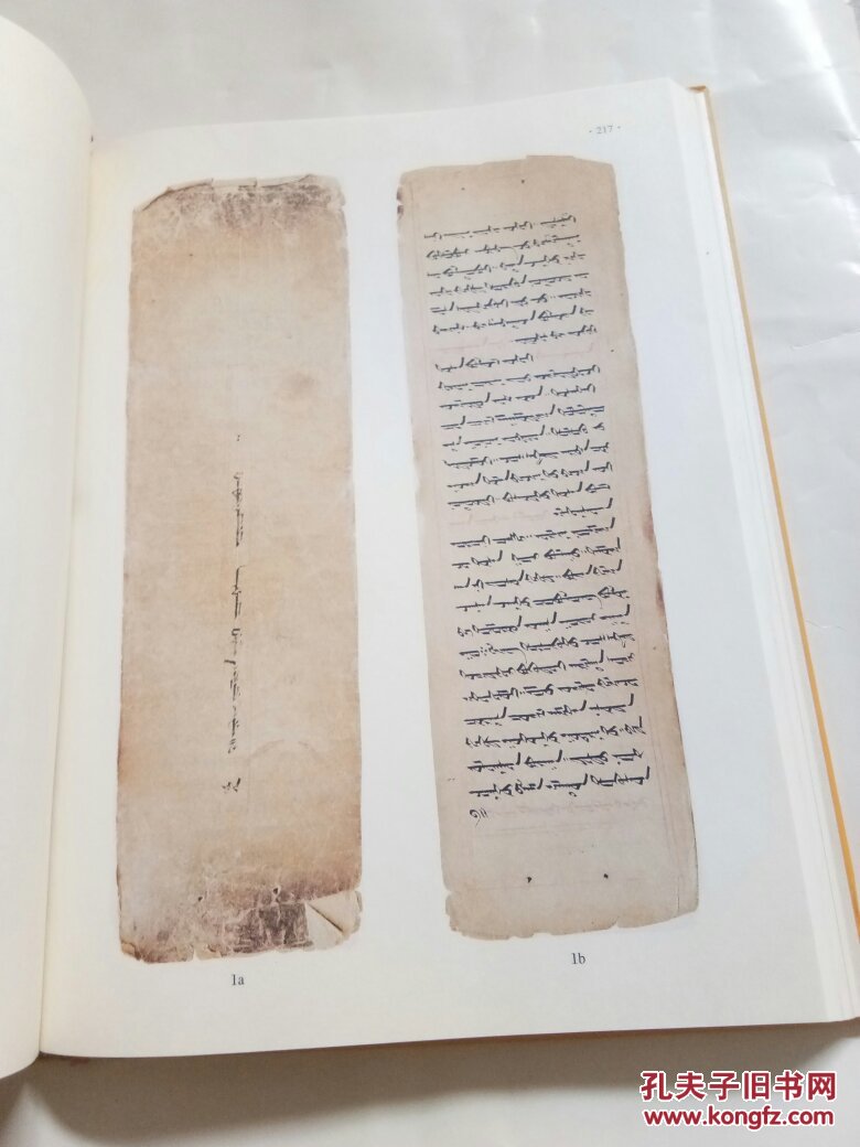 蒙文版:伊犁河流域厄鲁特人民间所藏托忒文文献汇集 第六卷