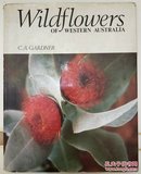 Wildflowers of Western Australia正版精装