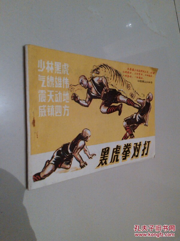 少林迷踪派:黑虎拳对打