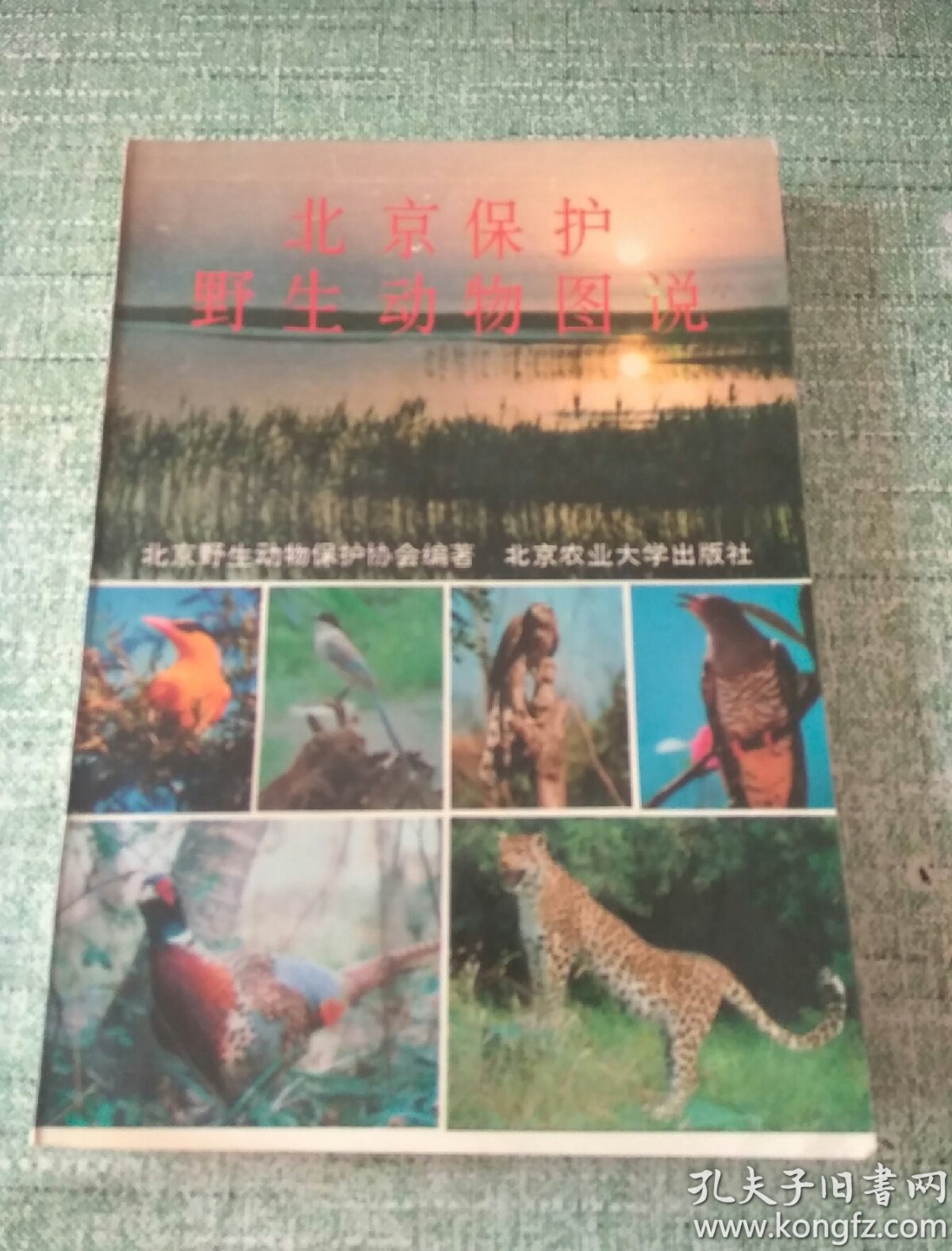 北京保护野生动物图说（每种动物均有插图）