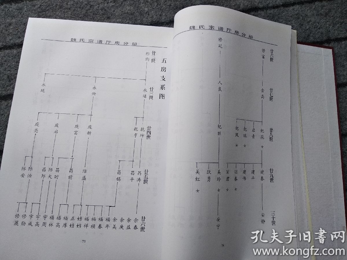 钜鏕郡魏氏宗谱(厅房分册)