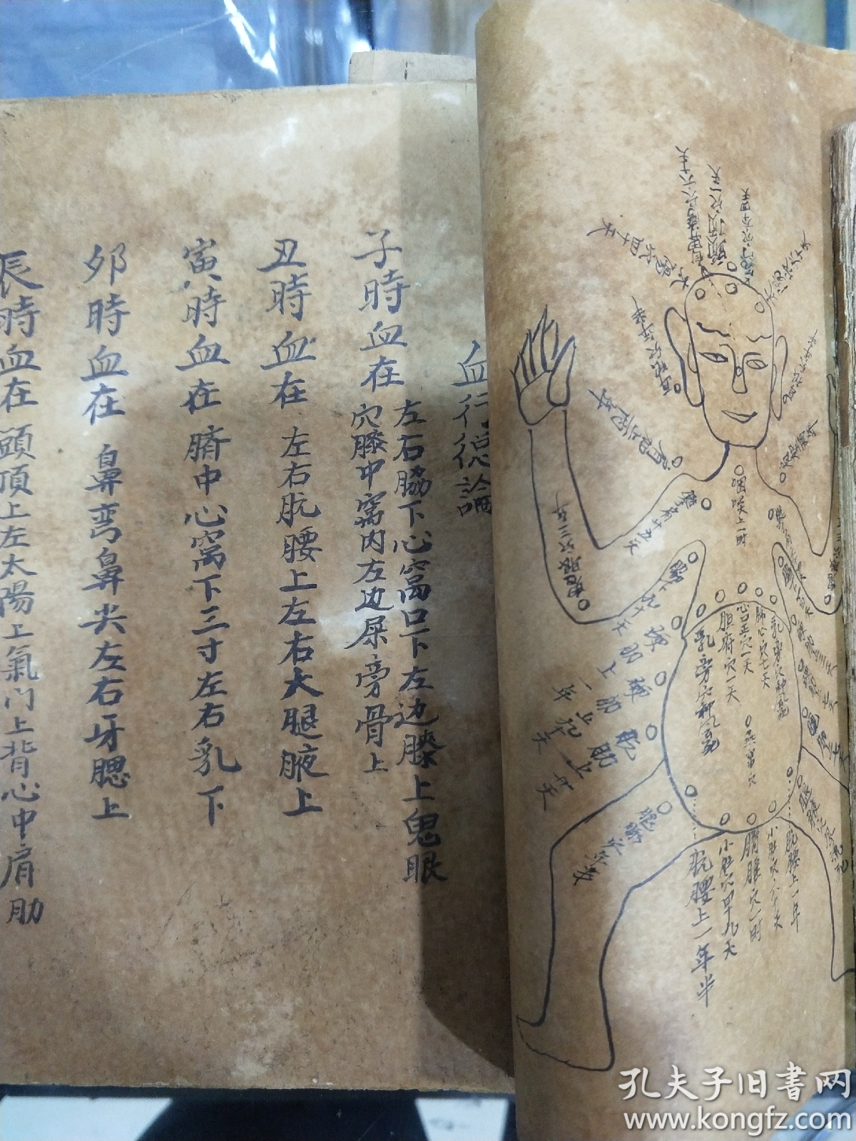 珍稀道家秘传孤本子午图形子午血流图子午药方秘诀全部