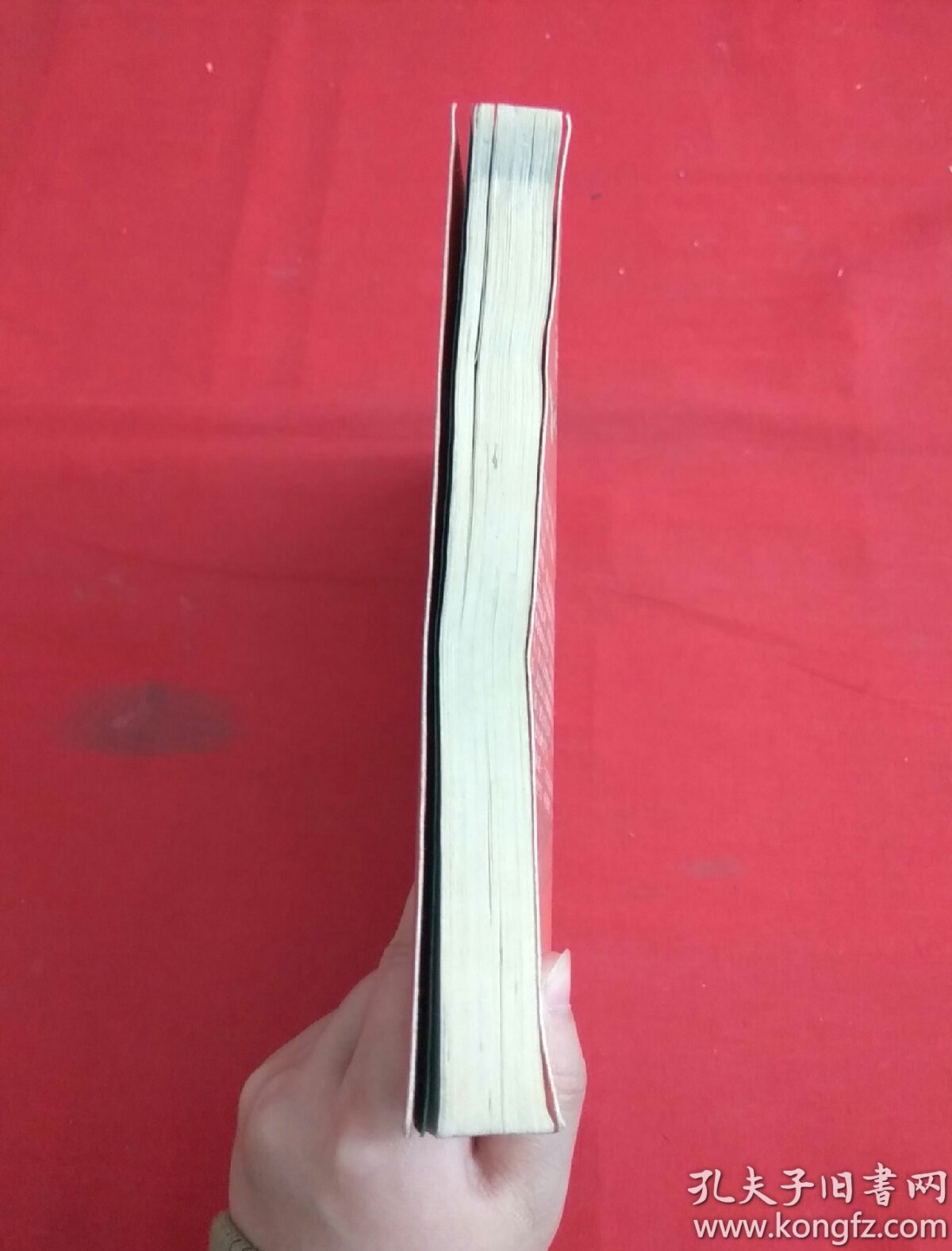 密送年轻人48封鸡毛信