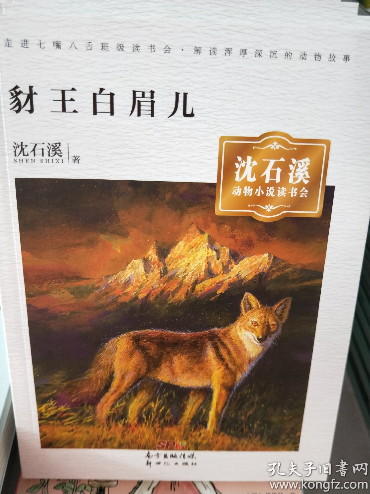 正版包邮 全5册 沈石溪动物小说书会:狼王遗梦/悲情雪豹/狼族女王/兔
