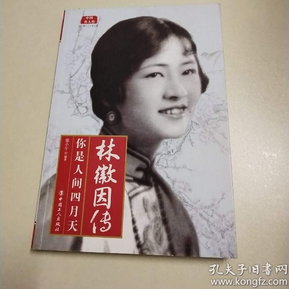 中国名人传·林徽因传:你是人间四月天