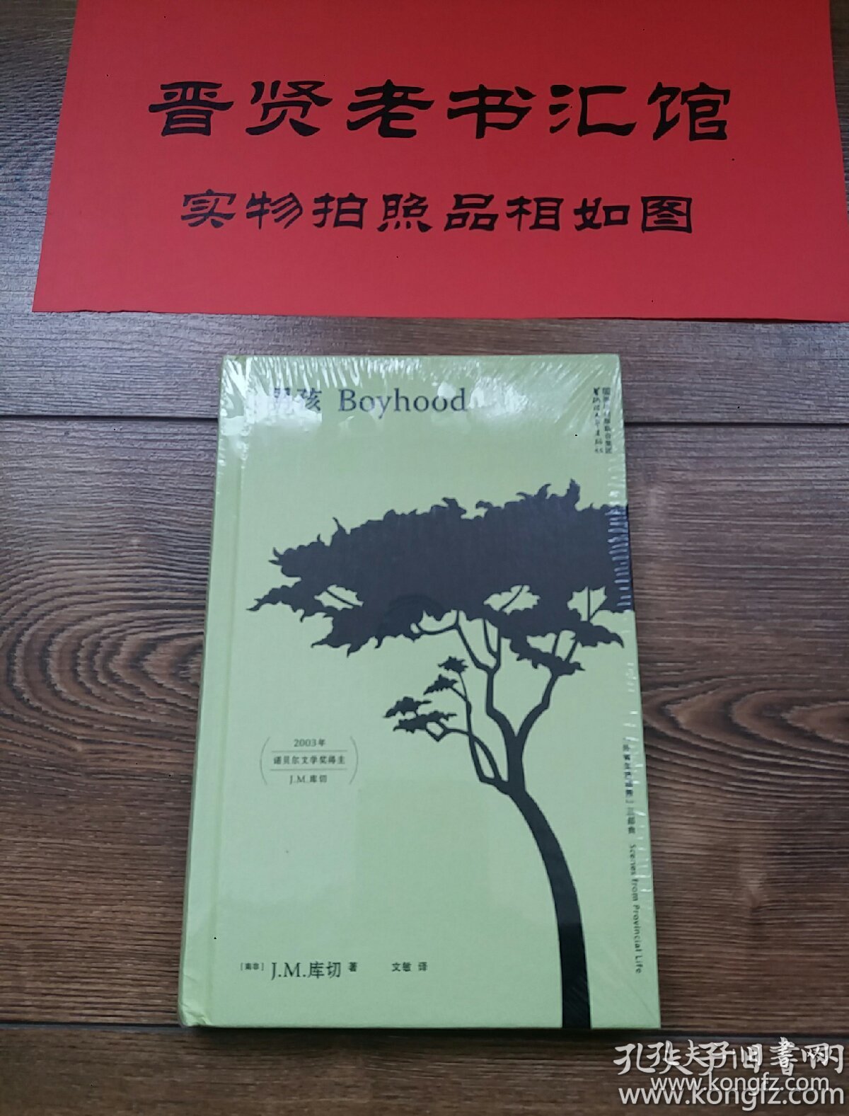 男孩(库切"外省生活场景"三部曲)