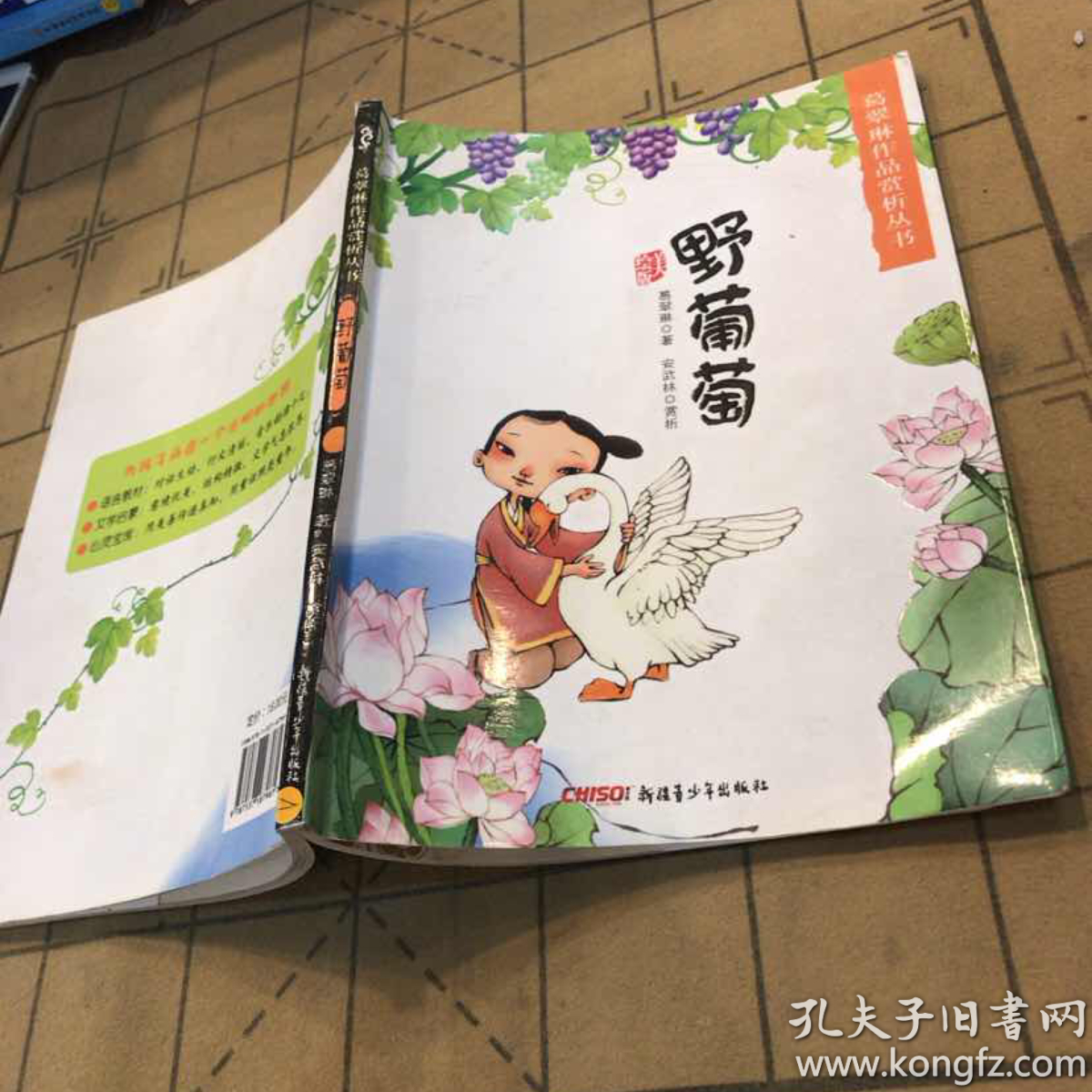 葛翠琳作品赏析丛书?野葡萄 9787537187961 葛翠琳 正版二手