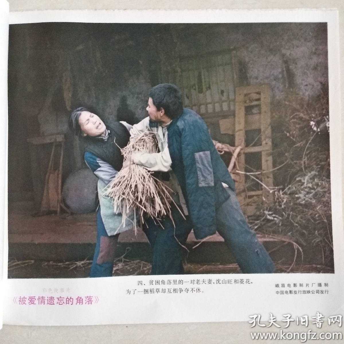 彩色故事片《被爱情遗忘的角落》 电影海报