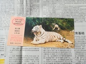 北京八达岭野生动物世界门票 成人票