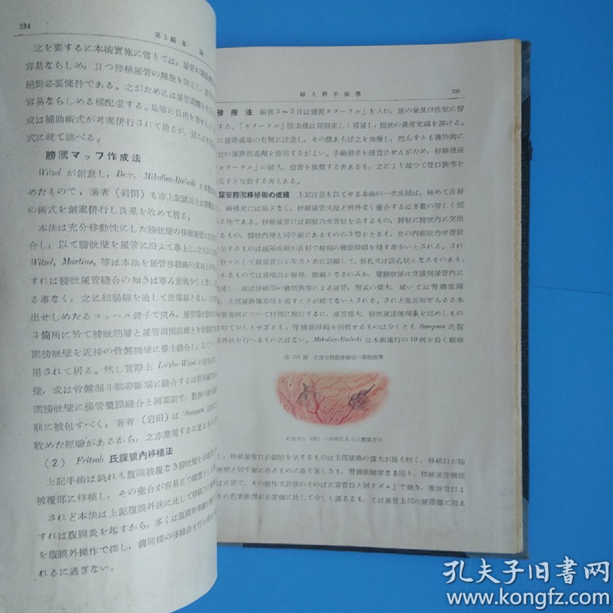 医学博士白木正博.岩田正道共著)