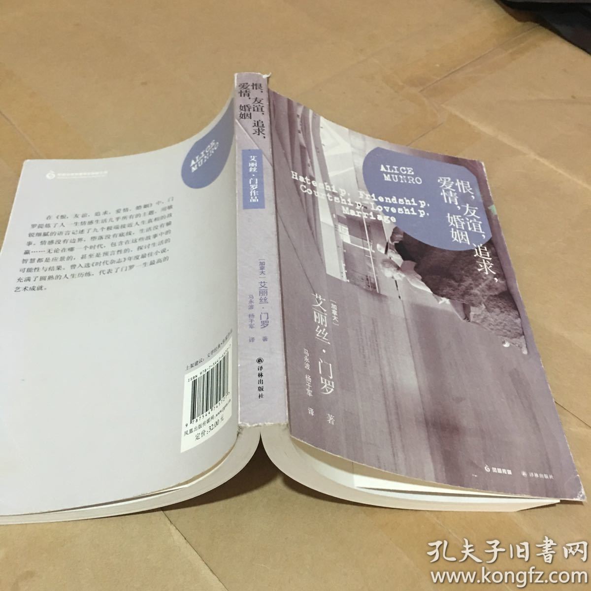 恨,友谊,追求,爱情,婚姻_[加拿大]艾丽丝·门罗 著;马永波,杨于军 译