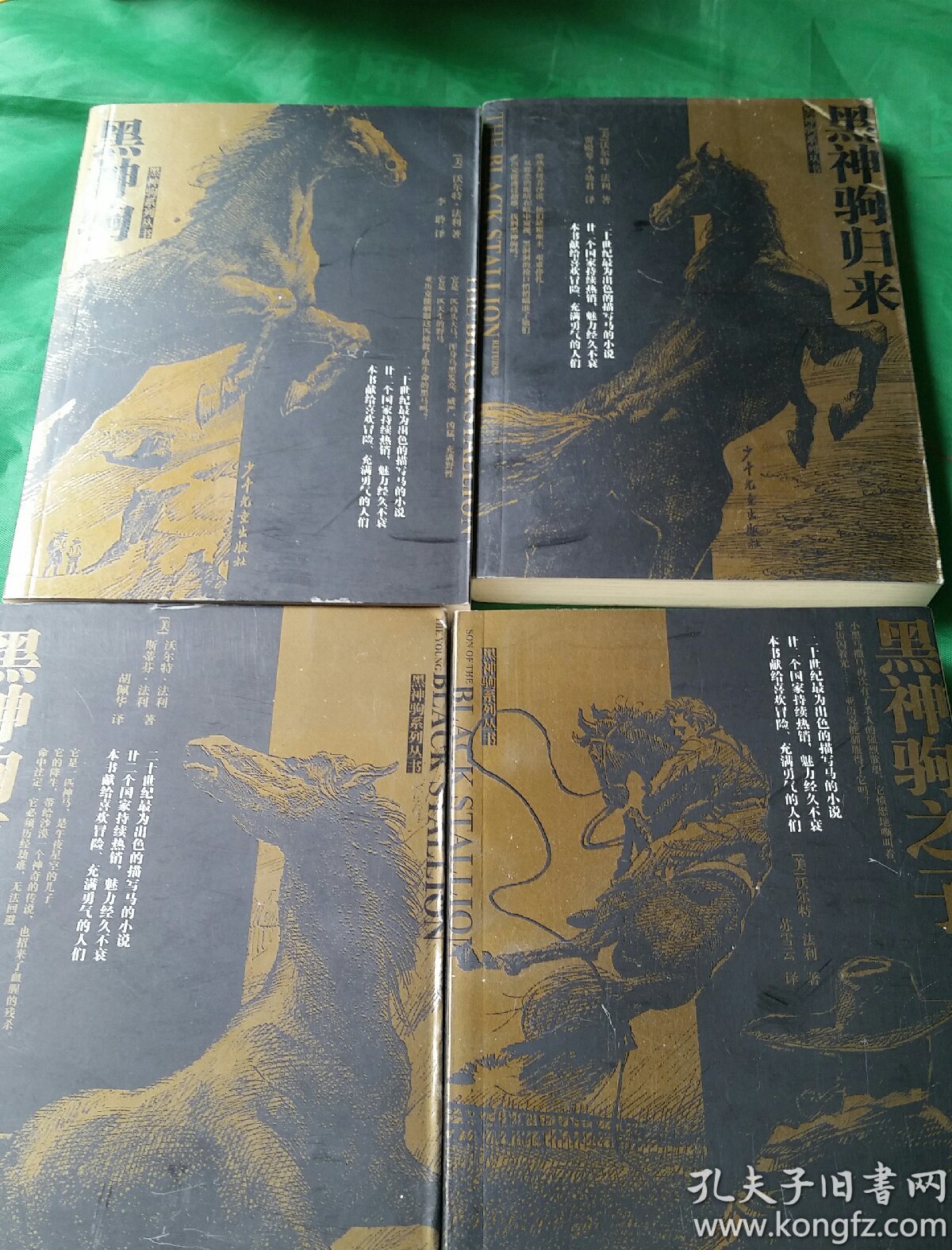 黑神驹系列丛书:黑神驹,黑神驹归来,黑神驹前传,黑神驹之子(全4册)