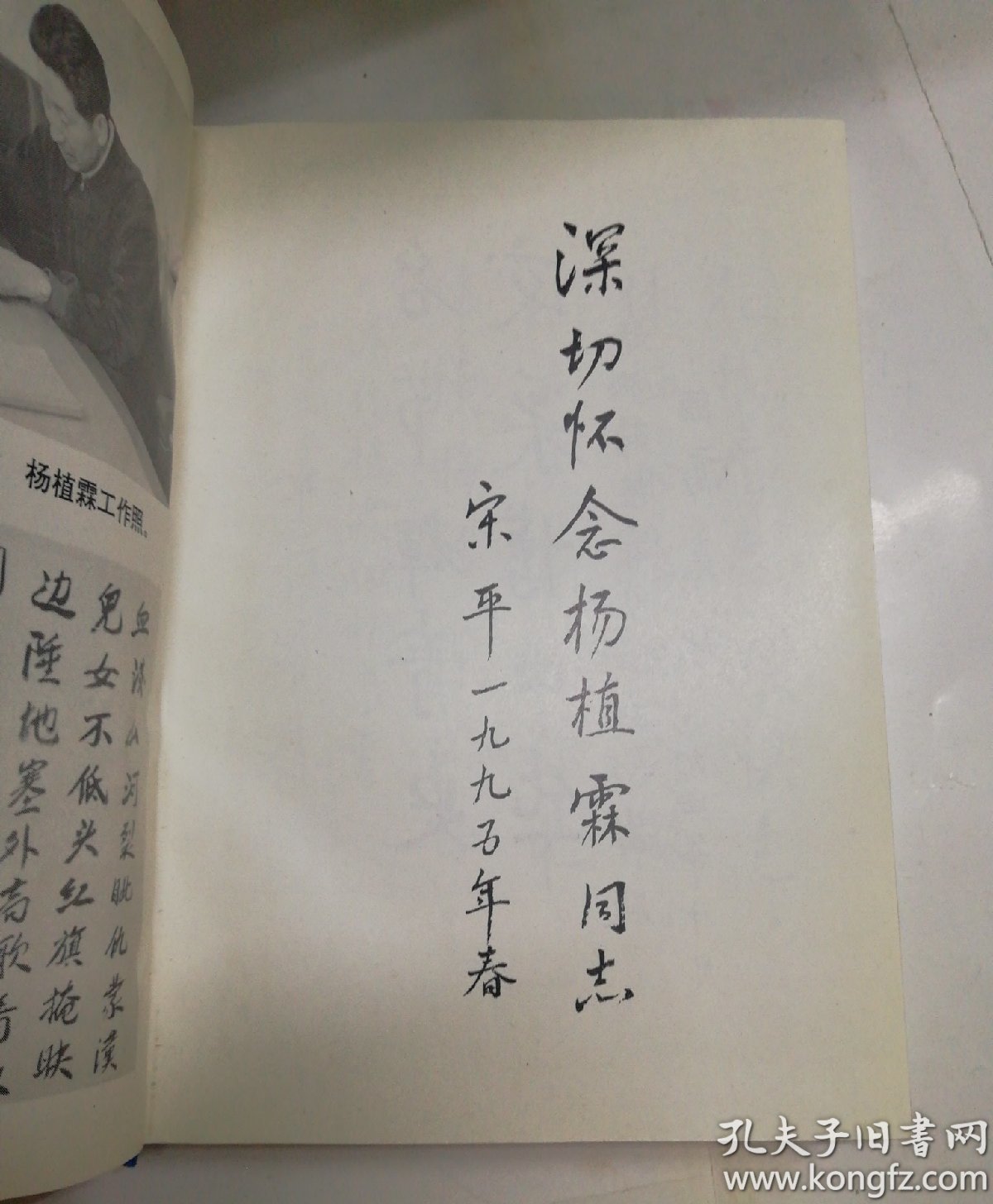 青山足迹:杨植霖回忆录