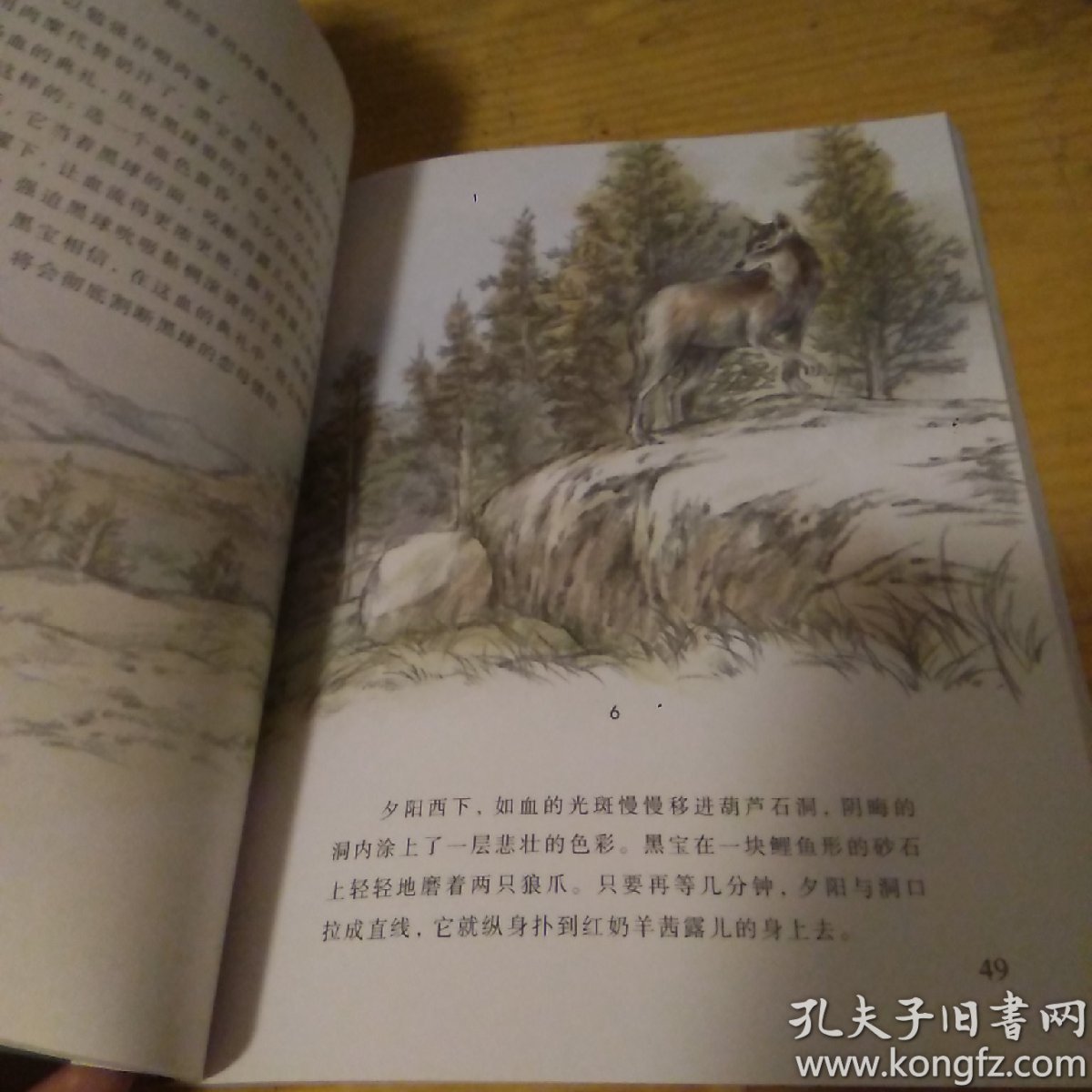 沈石溪画本(第一辑:红奶羊