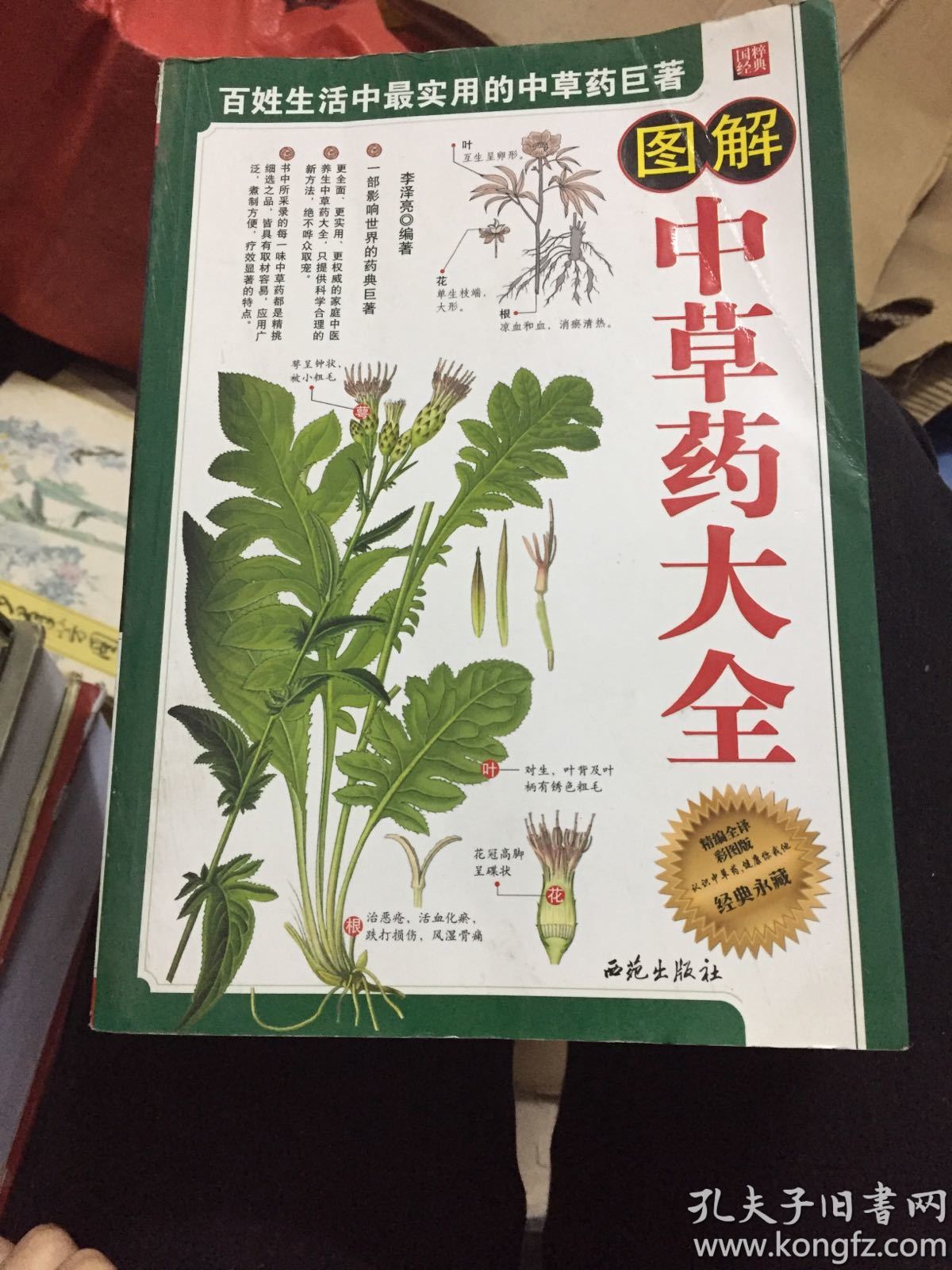 图解中草药大全更全面更实用更权威的家庭中医养生中草药大全