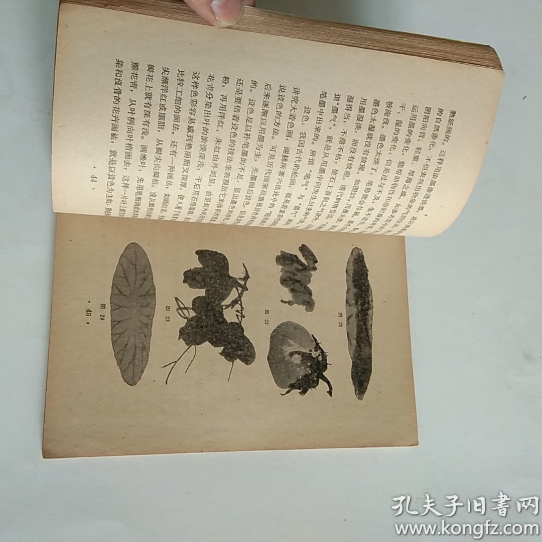 花鸟画技法(修订本)_黄若舟_孔夫子旧书网