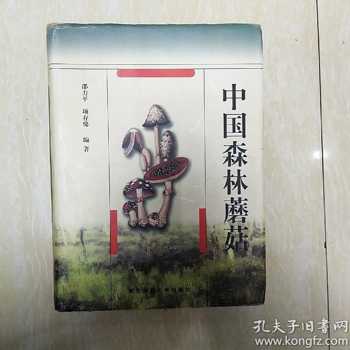 中国森林蘑菇 书有点磨损 如图内页好_邵力平 项存悌_孔夫子旧书网